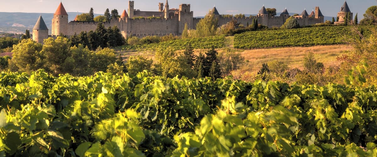 A castle with multiple towers and a vineyard in the foreground.