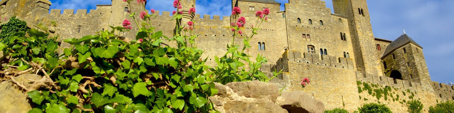 Carcassonne mit einem historische Architektur und Burg