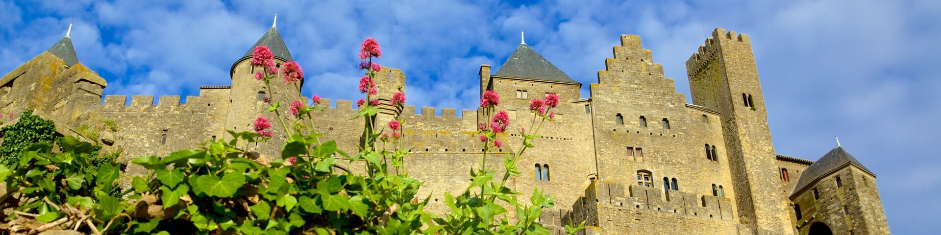Carcasona ofreciendo castillo o palacio y patrimonio de arquitectura