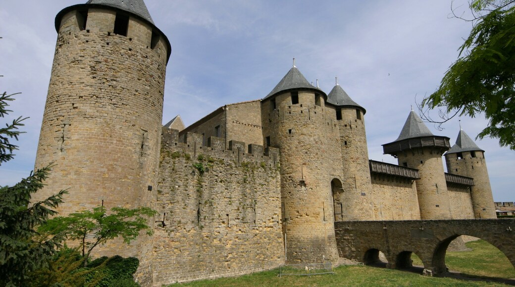 Carcassonne qui includes patrimoine architectural et chĂąteau ou palais