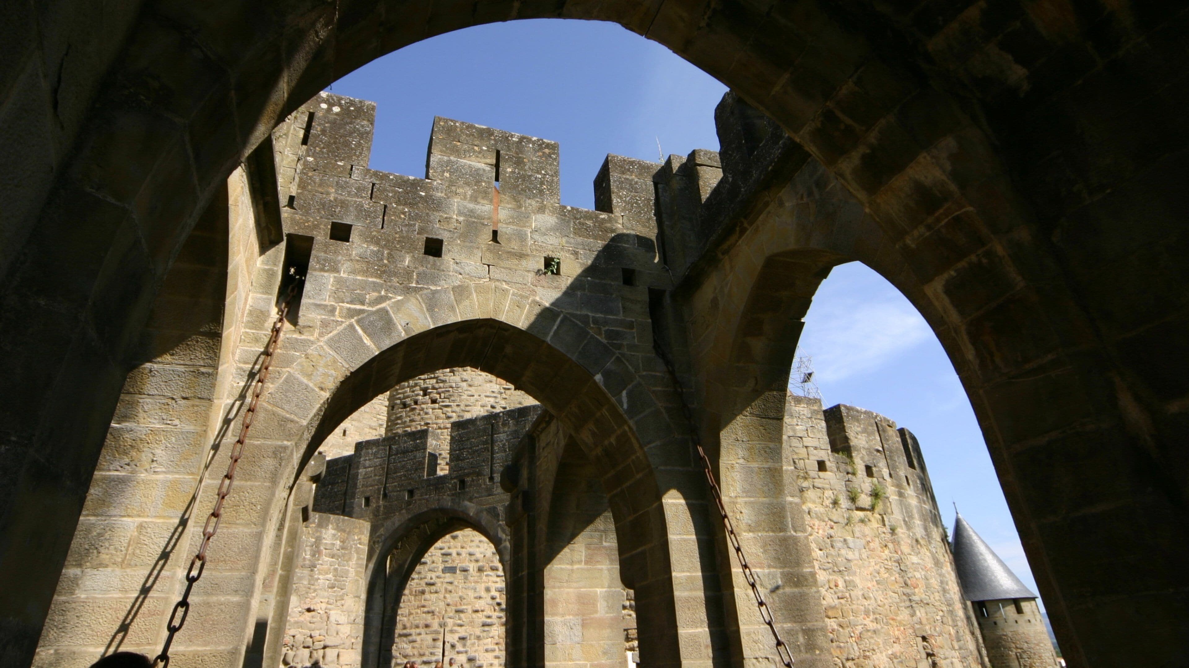 Carcassonne showing heritage architecture and chateau or palace