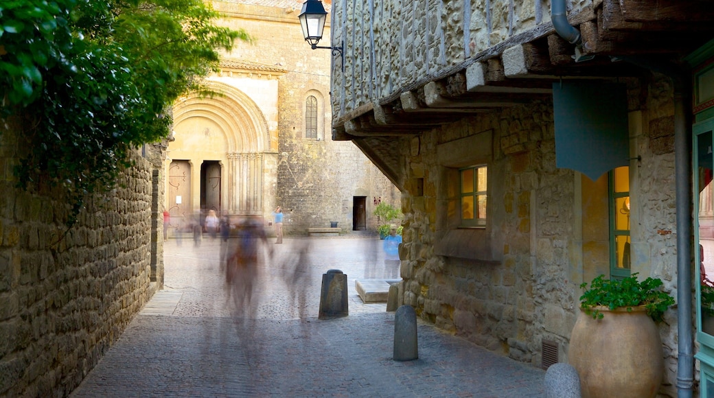 Carcassonne which includes heritage architecture and street scenes