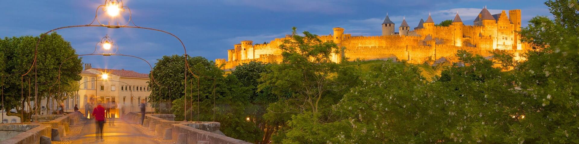 Carcassonne featuring linna ja yökuvat