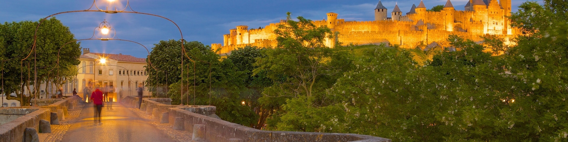 Carcassonne featuring chateau or palace and night scenes