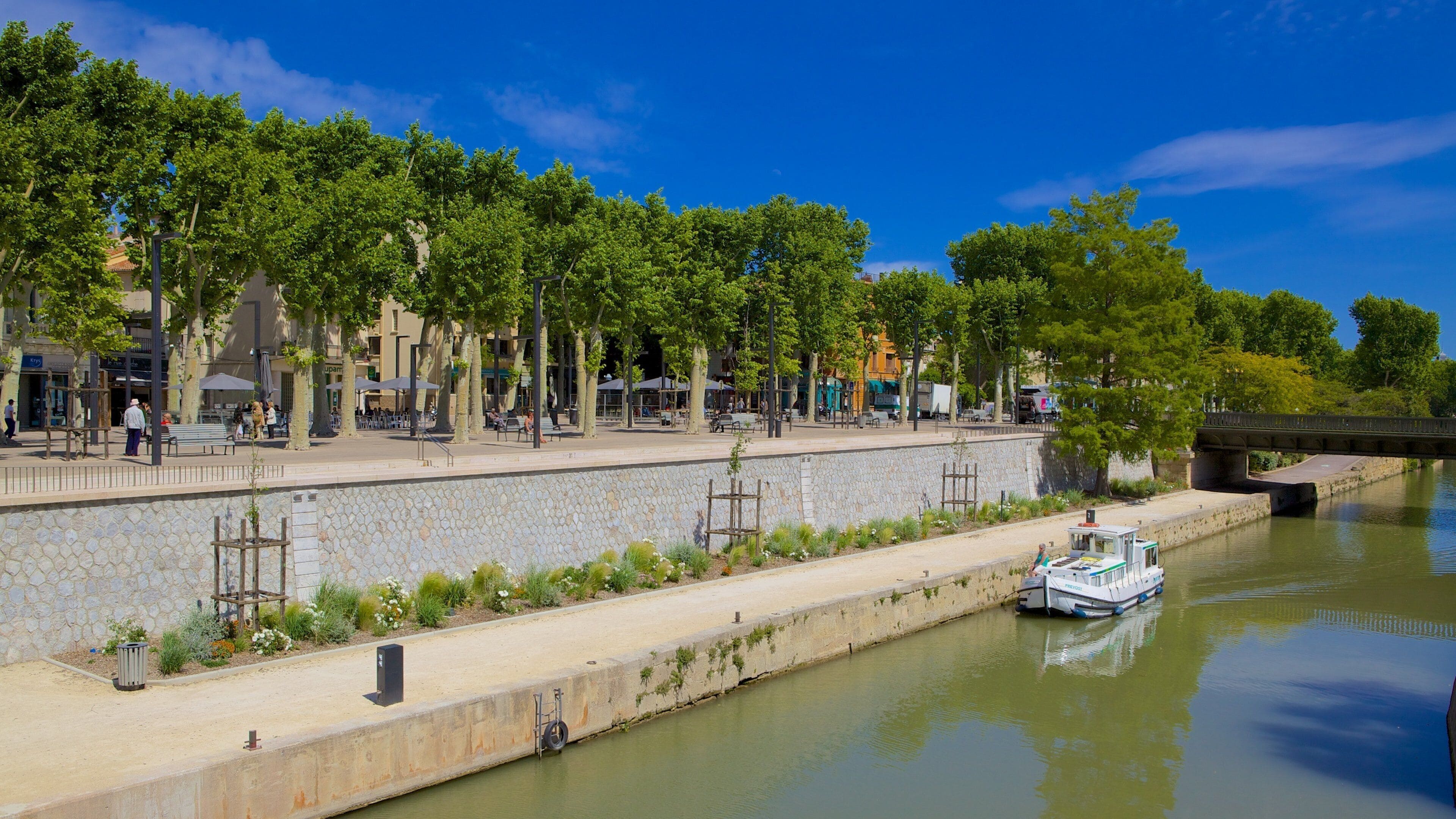Narbonne mettant en vedette une rivière ou un ruisseau