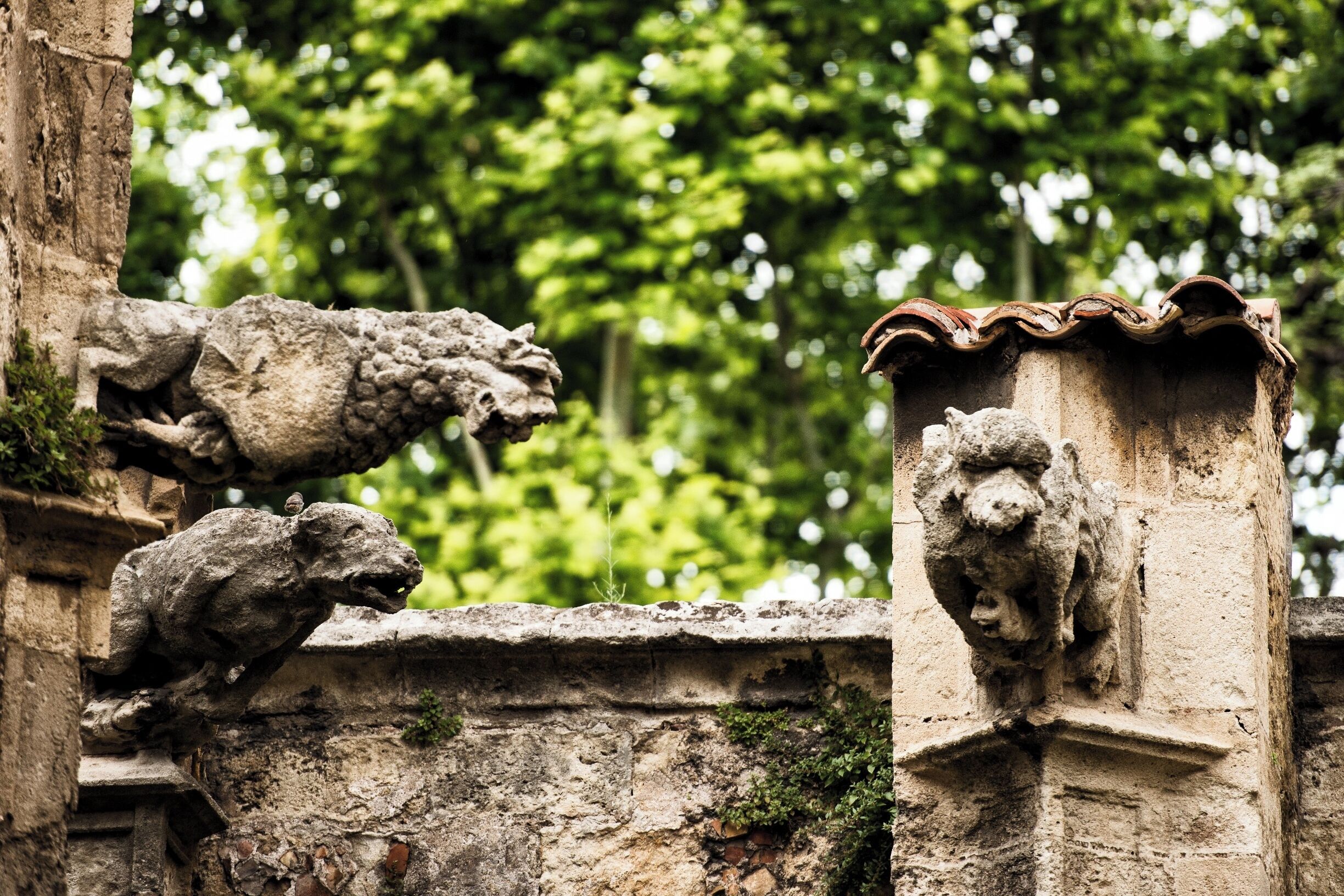 Narbonne, has one of the most beautiful gothic cathedrals in France. Especially the gargoyles are well worth the visit