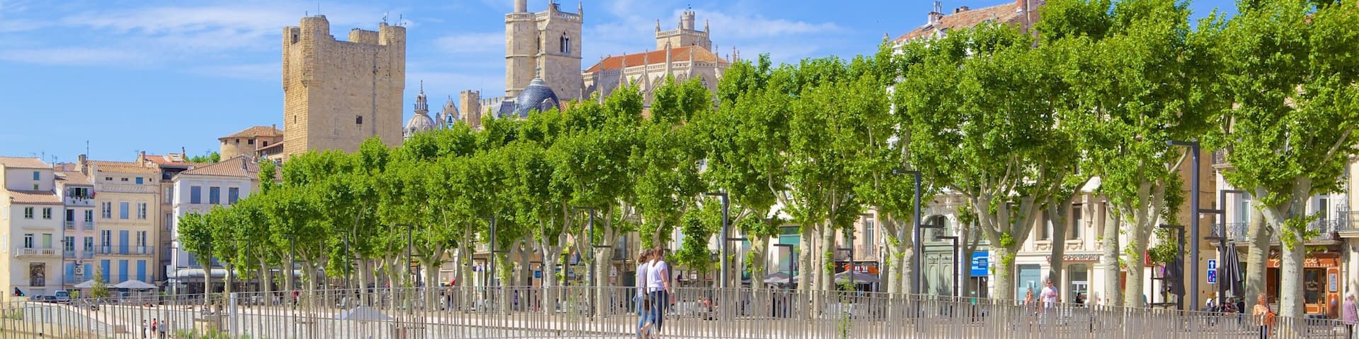 Narbonne showing a bridge and a river or creek