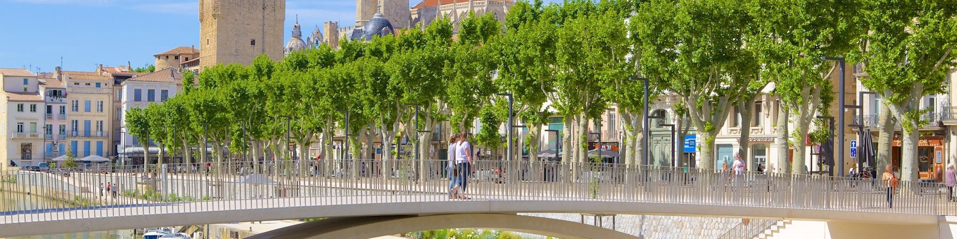 Narbonne which includes a river or creek and a bridge