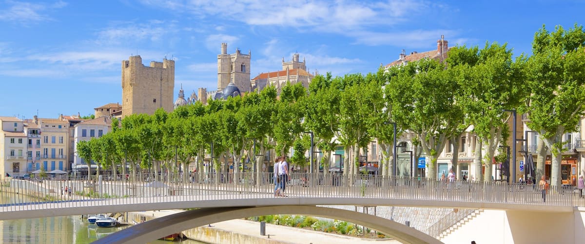 Narbonne showing a bridge and a river or creek