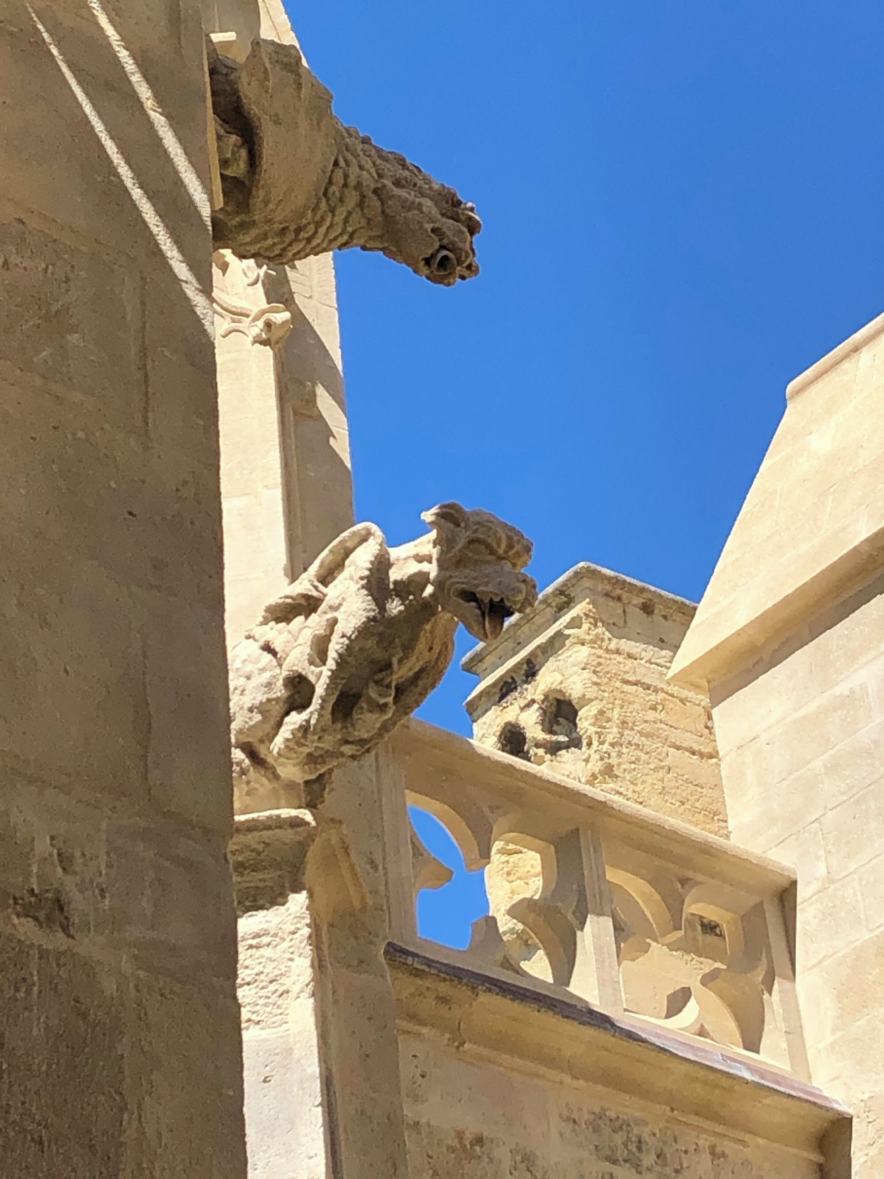 Impressive Cathedral