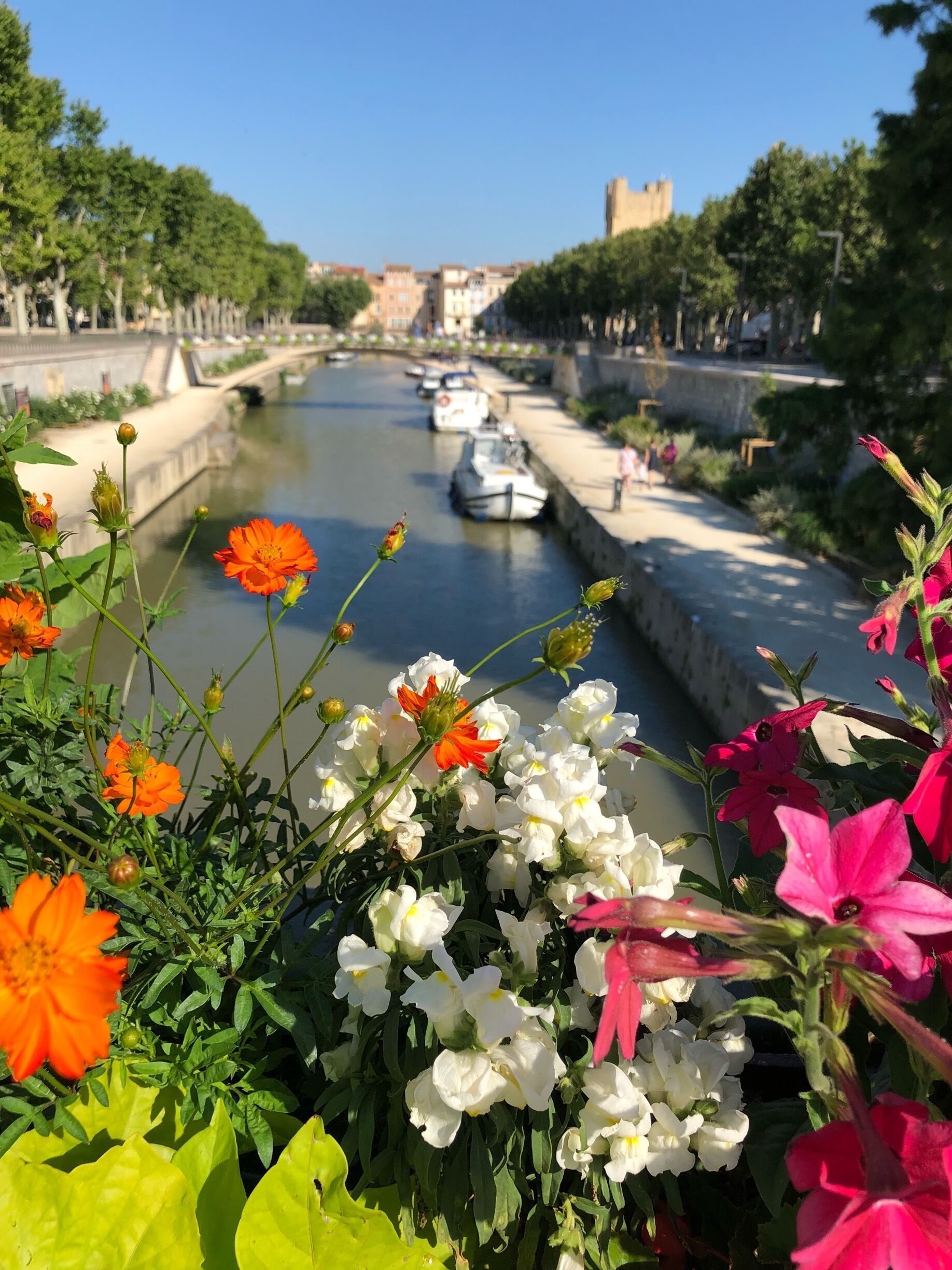 A beautiful town with walks along the canal #TroveonTuesday #Narbonne