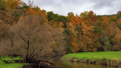 Somewhere near here on a trip from Mauston to Viroqua Wisconsin I stopped here. Haven't been able to figure out where exactly I was though, lol... Worth the stop though, beautiful!