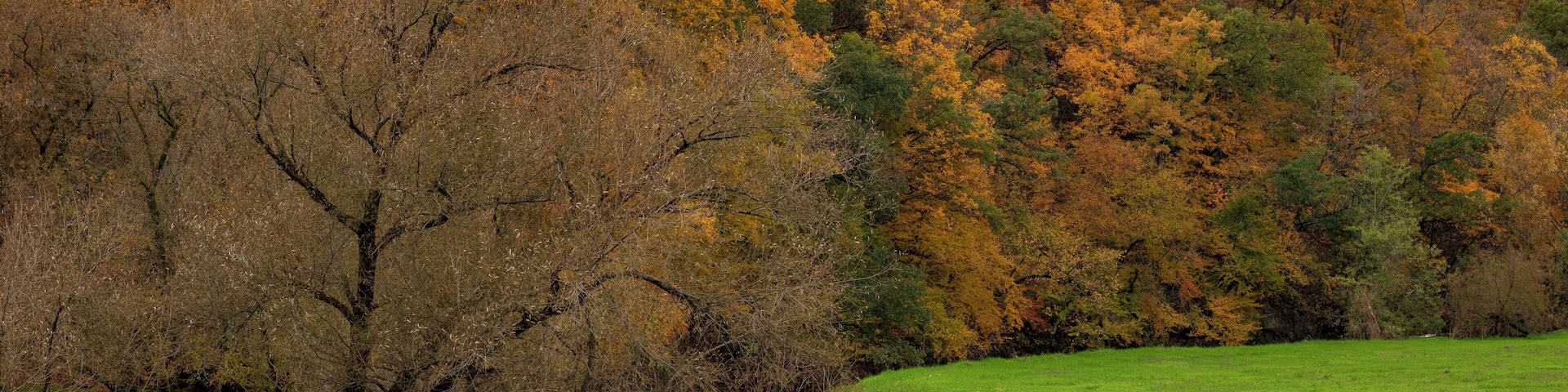 Somewhere near here on a trip from Mauston to Viroqua Wisconsin I stopped here. Haven't been able to figure out where exactly I was though, lol... Worth the stop though, beautiful!