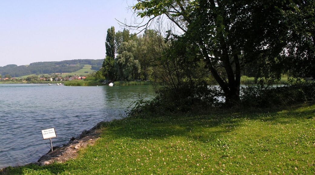 Werd Island near Stein am Rhein