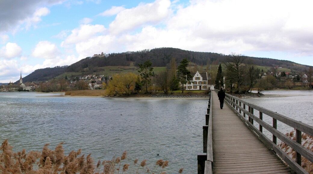Switzerland, Canton of Schaffhausen, Insel Werd near Stein am Rhein
