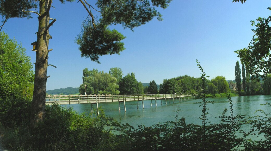 Werd Island near Stein am Rhein