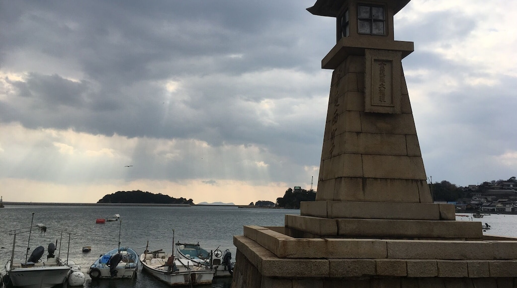 Old night light & Twilight ray