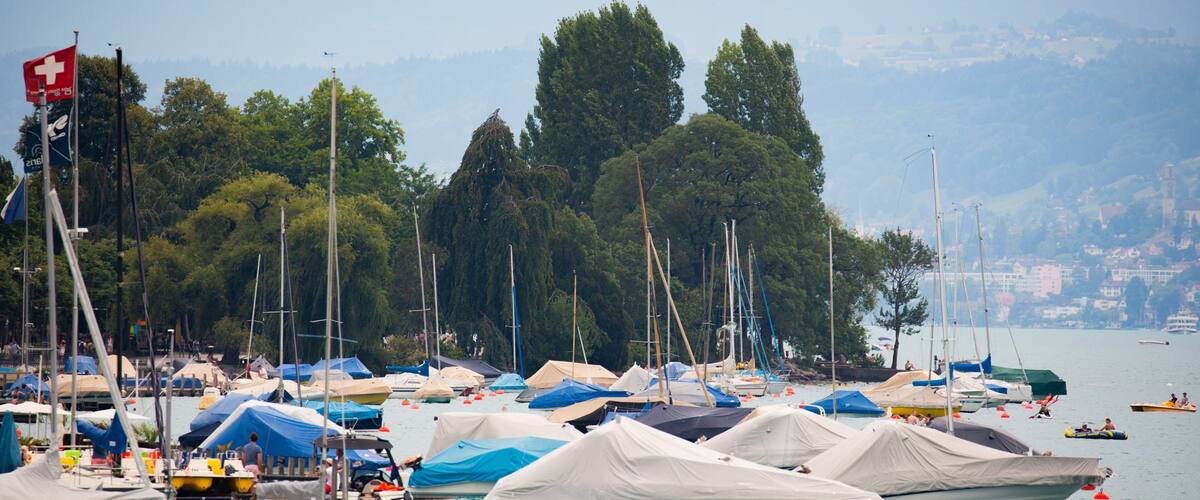Lake Zurich featuring a bay or harbor