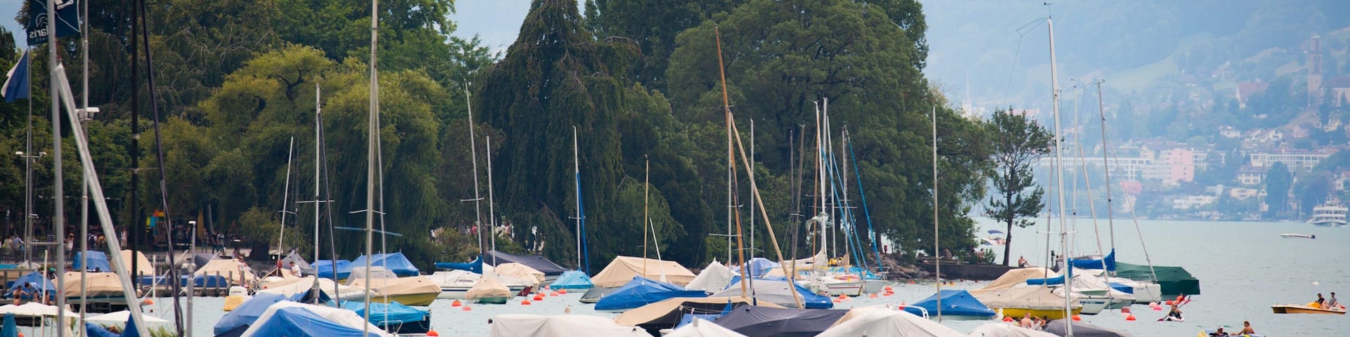 Lake Zurich featuring a bay or harbor