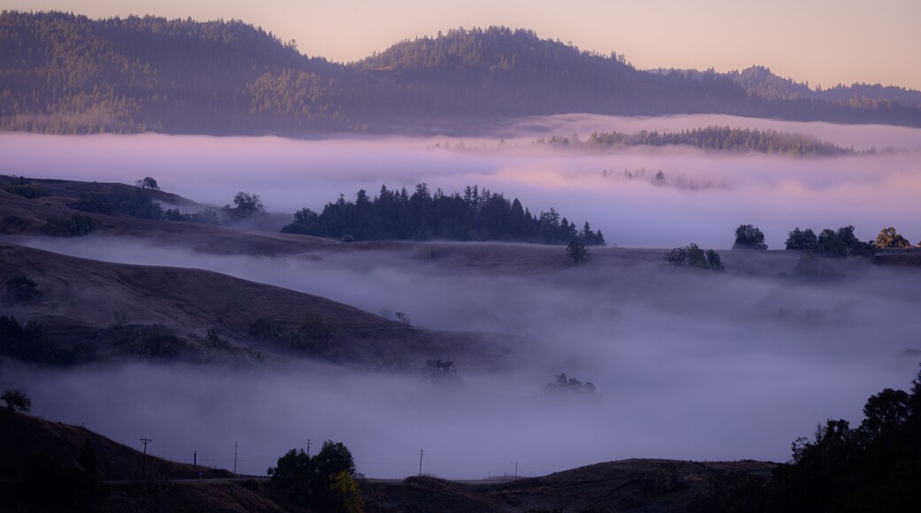 Misty Mountain Dawn with Cool Hues