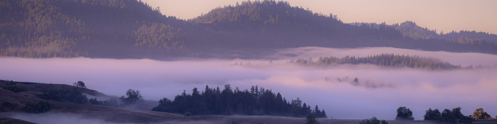 Misty Mountain Dawn with Cool Hues