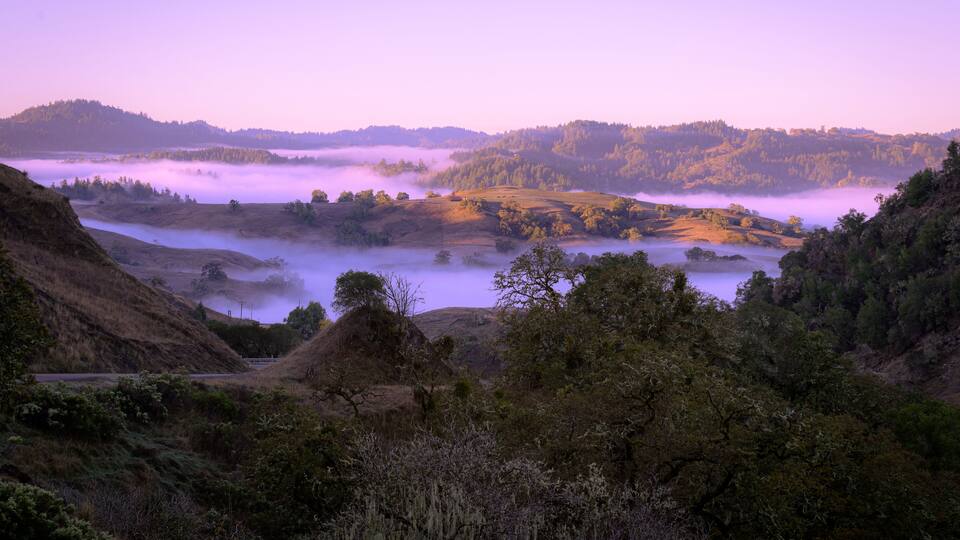 A misty valley with rolling hills and dense forests.