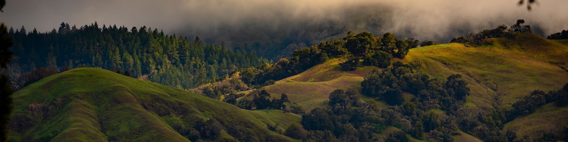 Overcast Spring Evening in Anderson Valley