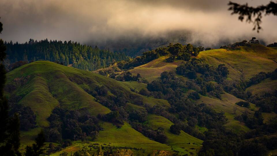 Rolling hills with dense forests and a cloudy sky.
