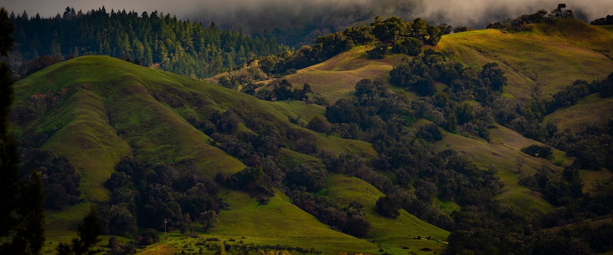 Rolling hills with dense forests and a cloudy sky.