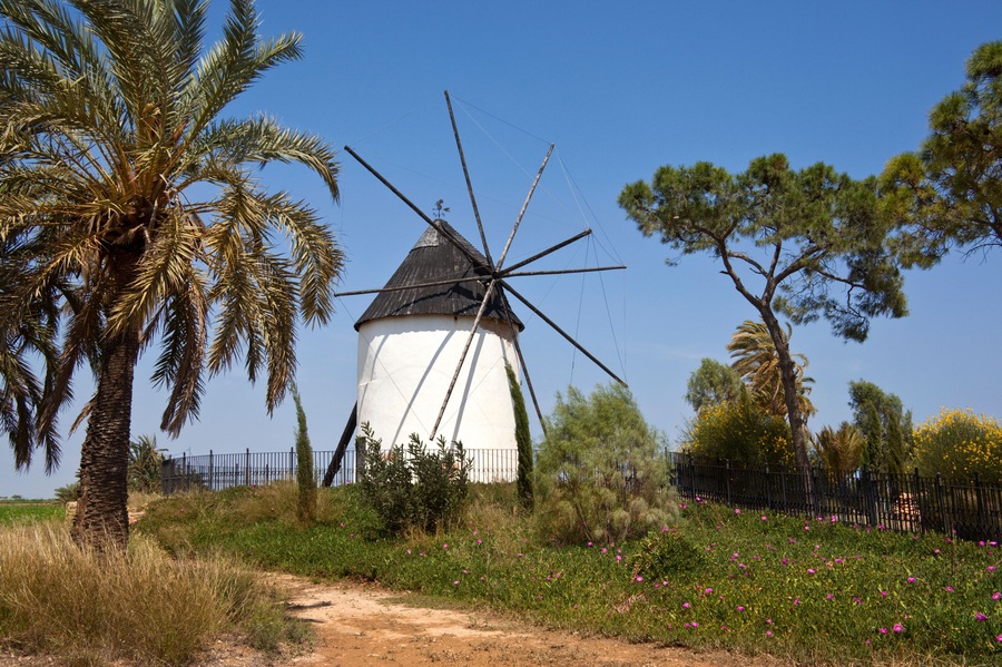 One of the ten windmills of Torre Pacheco in the Mercia region of southern Spain.; Shutterstock ID 1236740824; Purchase Order: -