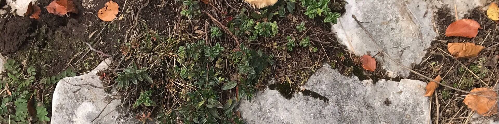 Finding the perfect hiking route is so easy in Switzerland. Just follow the yellow signs.