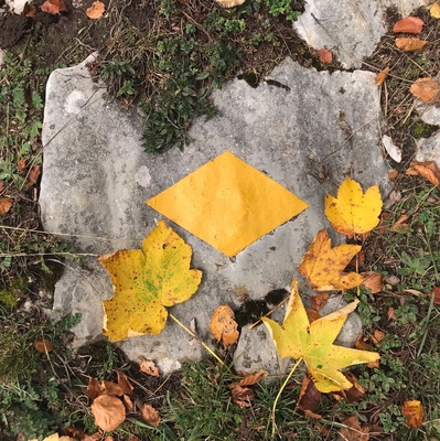 Finding the perfect hiking route is so easy in Switzerland. Just follow the yellow signs.