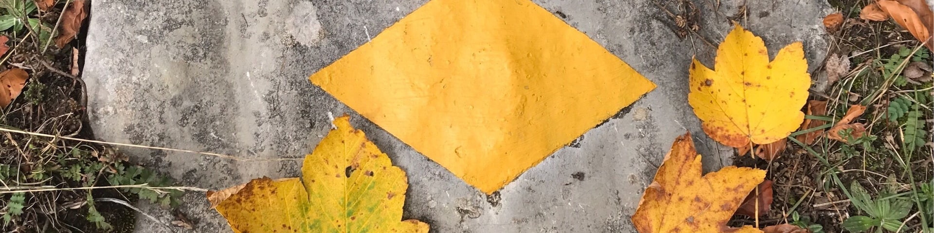 Finding the perfect hiking route is so easy in Switzerland. Just follow the yellow signs.