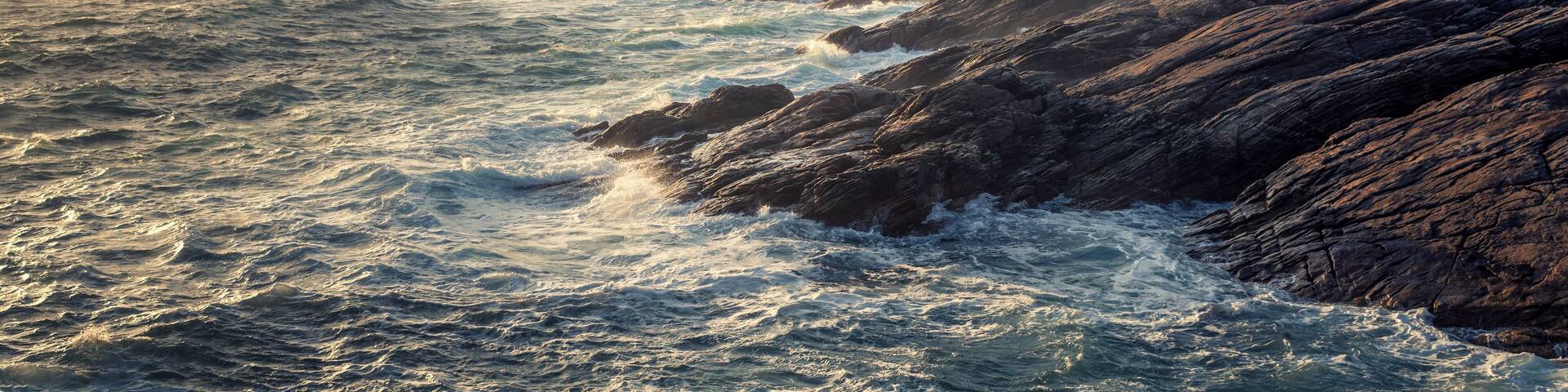 A rocky coastline with turbulent sea waves and a seagull flying in the sky.