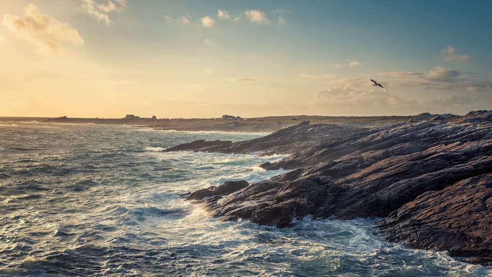 Une côte rocheuse, avec des vagues agitées et un goéland qui vole dans le ciel.