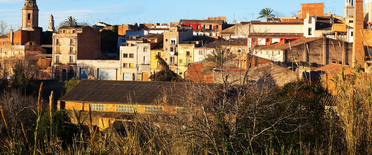 A historic town with a prominent church tower, dense urban buildings, and a palm tree.