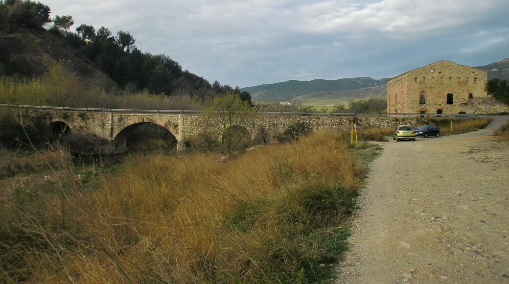El Pont de Goi i el Molí de Claudio Molinero (Alcover)