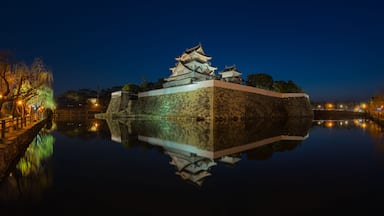 A traditional Japanese castle with a moat, illuminated by night lights, reflecting on the water.