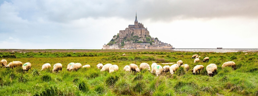 tidelands with Mont Saint-Michel, English Channel, Way of St. James, Route of Santiago de Compostela, Basse-Normandie, France