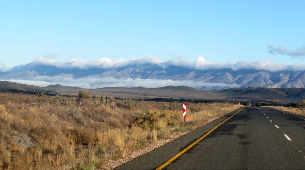 Road between Willowmore and De Rust