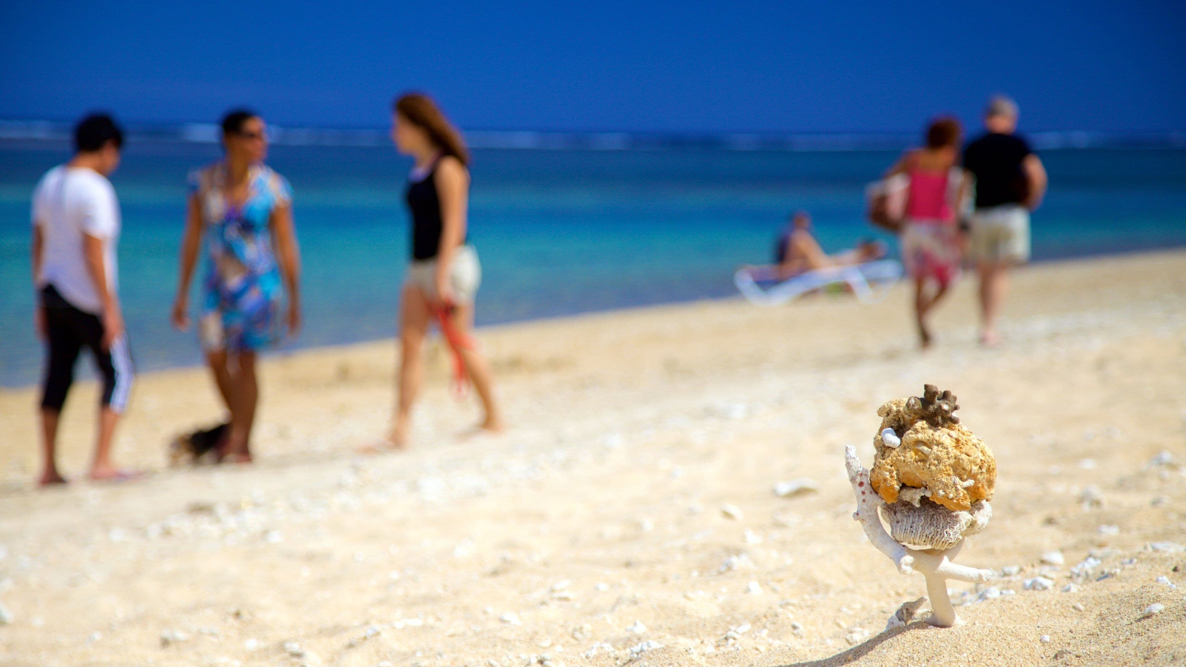 La Saline Les Bains que incluye una playa de arena y también un pequeño grupo de personas