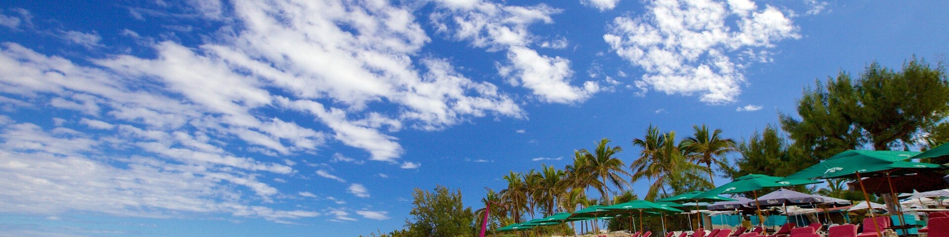 La Saline Les Bains mostrando una playa