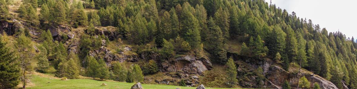 Mountain Walking Tour from Pejo to Lago Covel (1,839 m) in the Stelvio National Park (Italy).