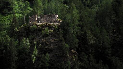On the road to Lago di Pian Palù you can find and explore a large complex of World War One Bunkers. Oh and many trees and waterfalls.