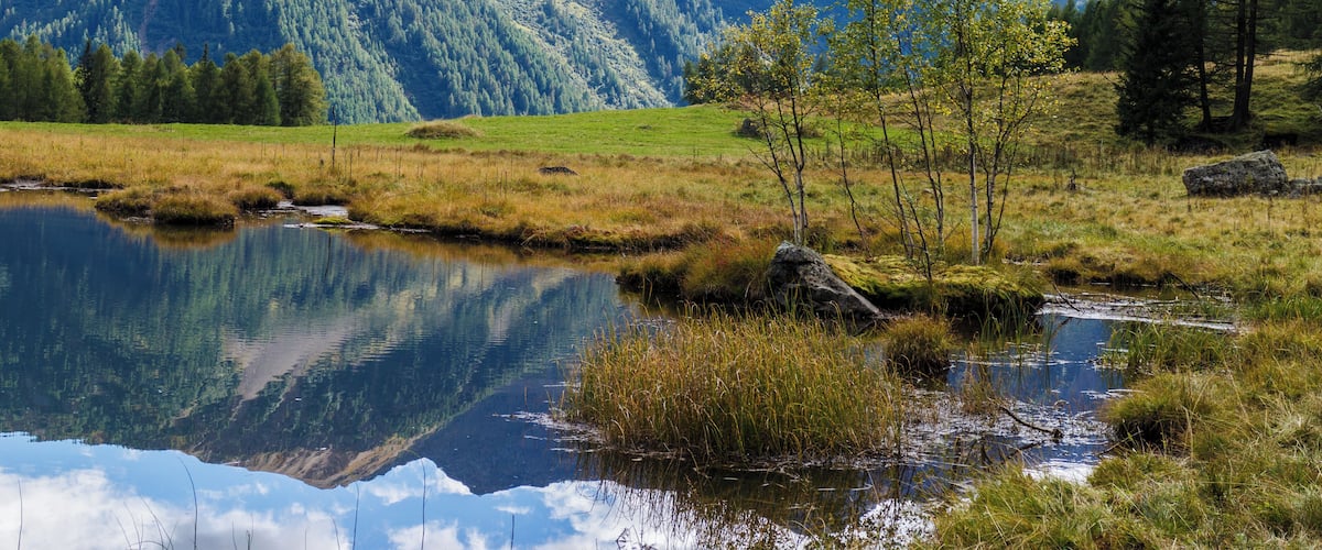 Un paysage de montagne avec un lac dans lequel se reflètent les arbres et les montagnes.