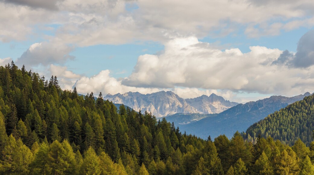 Mountain Walking Tour from Pejo to Lago Covel (1,839 m) in the Stelvio National Park (Italy).