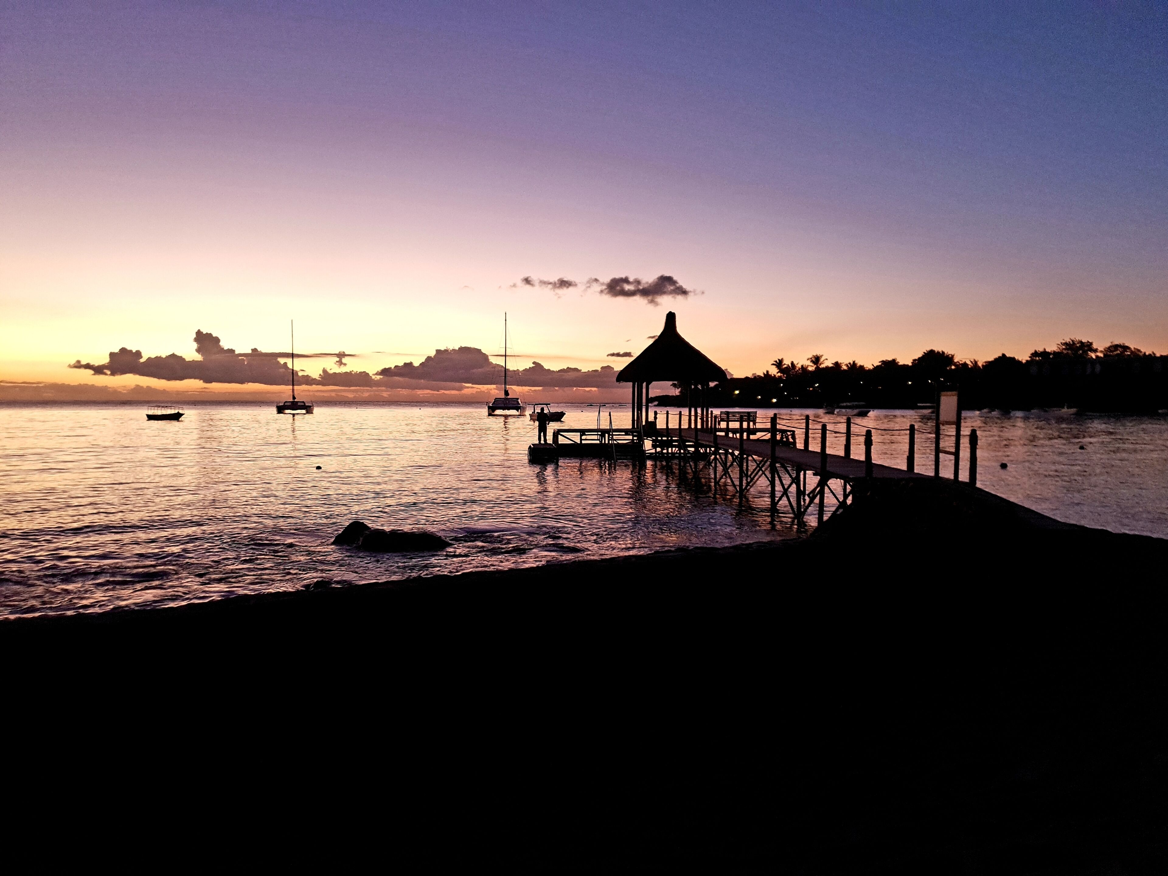 Beautiful purple skies 