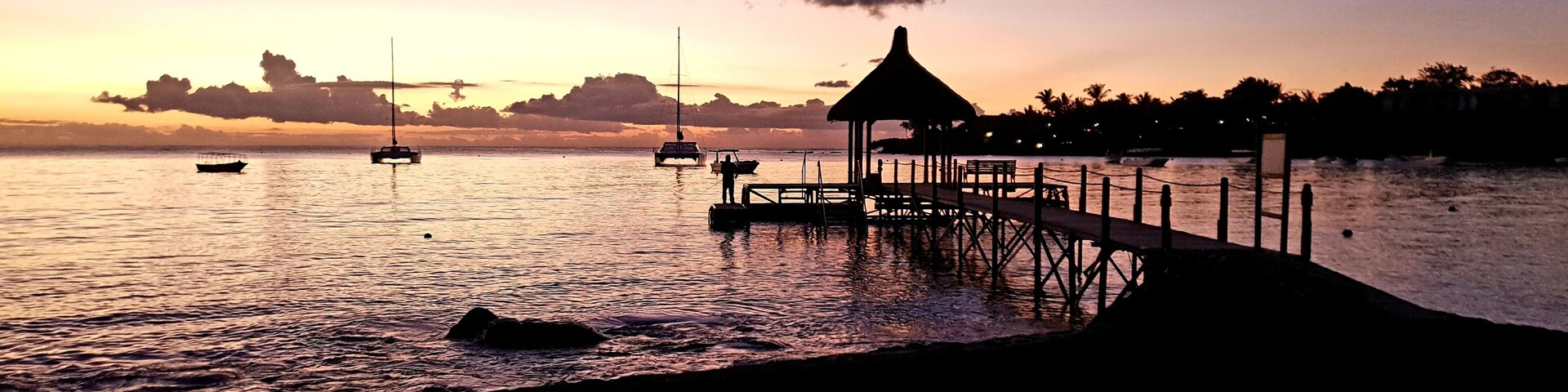 Beautiful purple skies