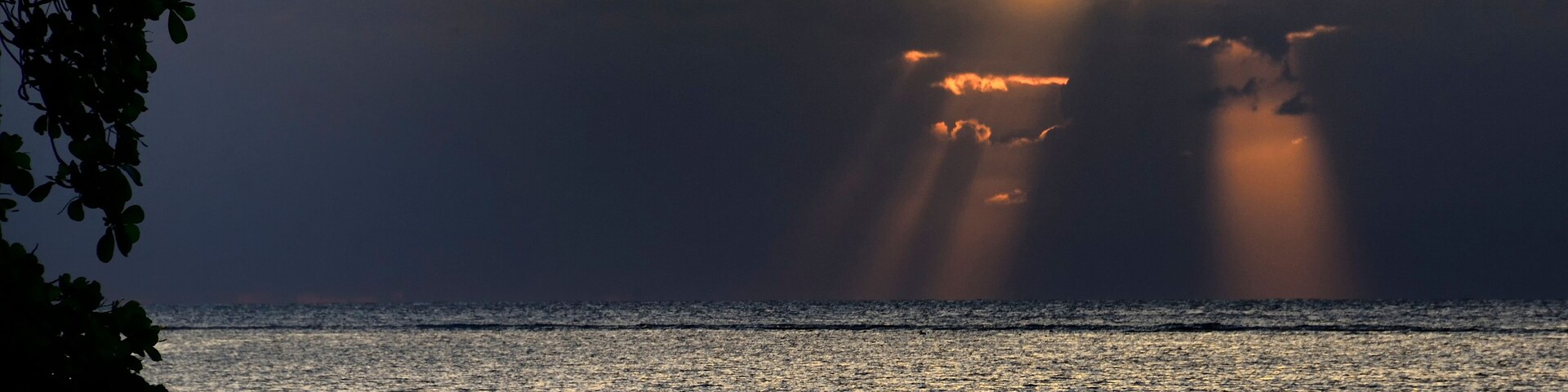 Un atardecer sobre un mar tranquilo con barcos y la silueta de un árbol.