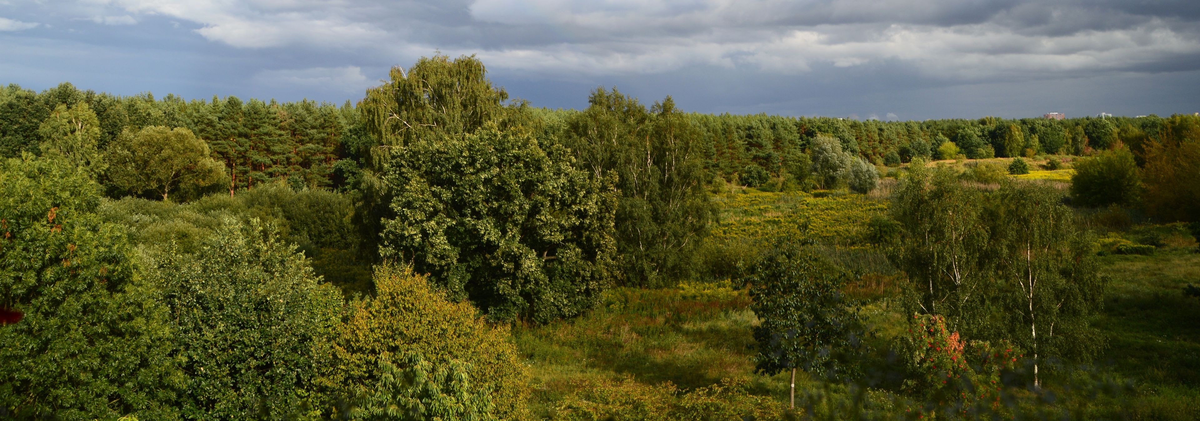 Impressions from the nature reserve in Falkensee (Brandenburg) near Berlin Spandau of September 5, 2015, Germany